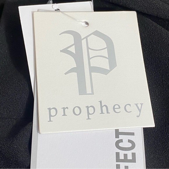 PROPHECY NWT inside elastic perfect fit waistband straight leg pull on pants 12P - Picture 10 of 12